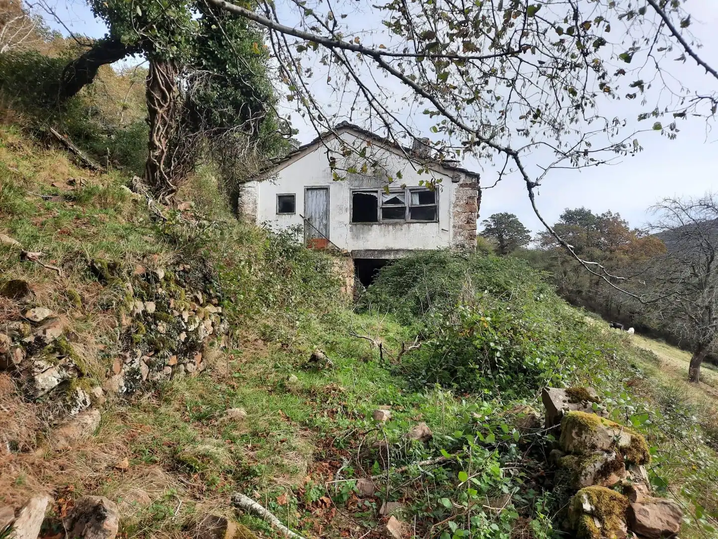 Casa rústica en venda a San Pedro del Romeral, imagen 31