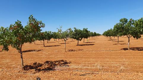Photo 5 of Land for sale in Calle Quintanar de la Orden, 2, La Reconquista, Toledo