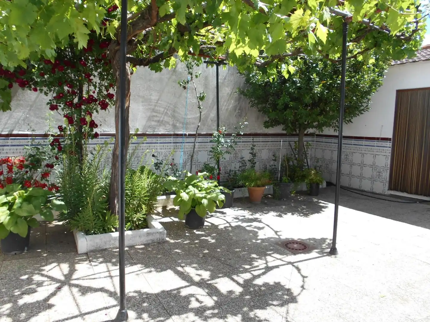 Jardín de Casa o chalet en venta en Picón con Aire acondicionado, Calefacción y Horno