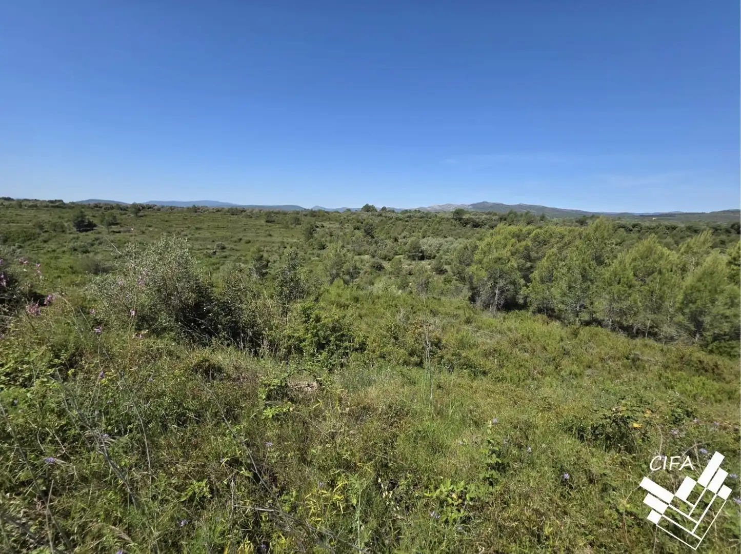 Terrain rustique à vendre à Polígono Sant Mateu, imagen 8