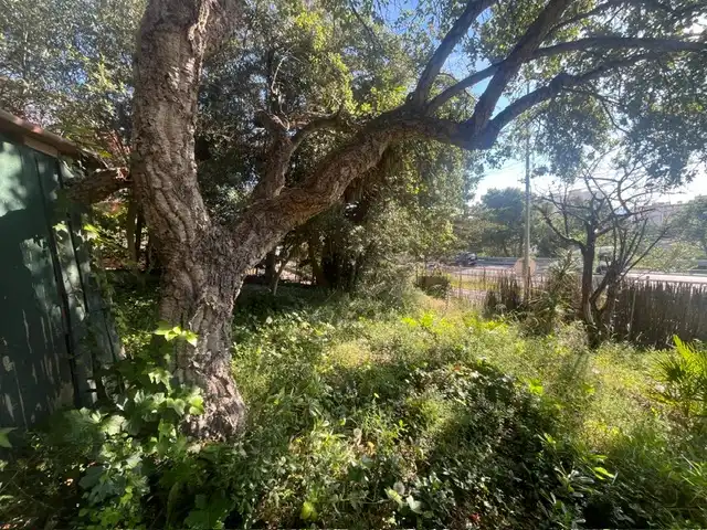 Residential for sale in Calonge i Sant Antoni
