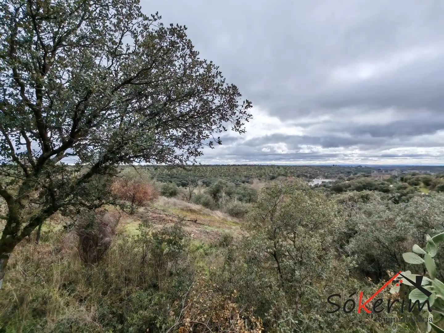 Piso en venta en San Román de los Montes con Calefacción, Jardín privado y Terraza