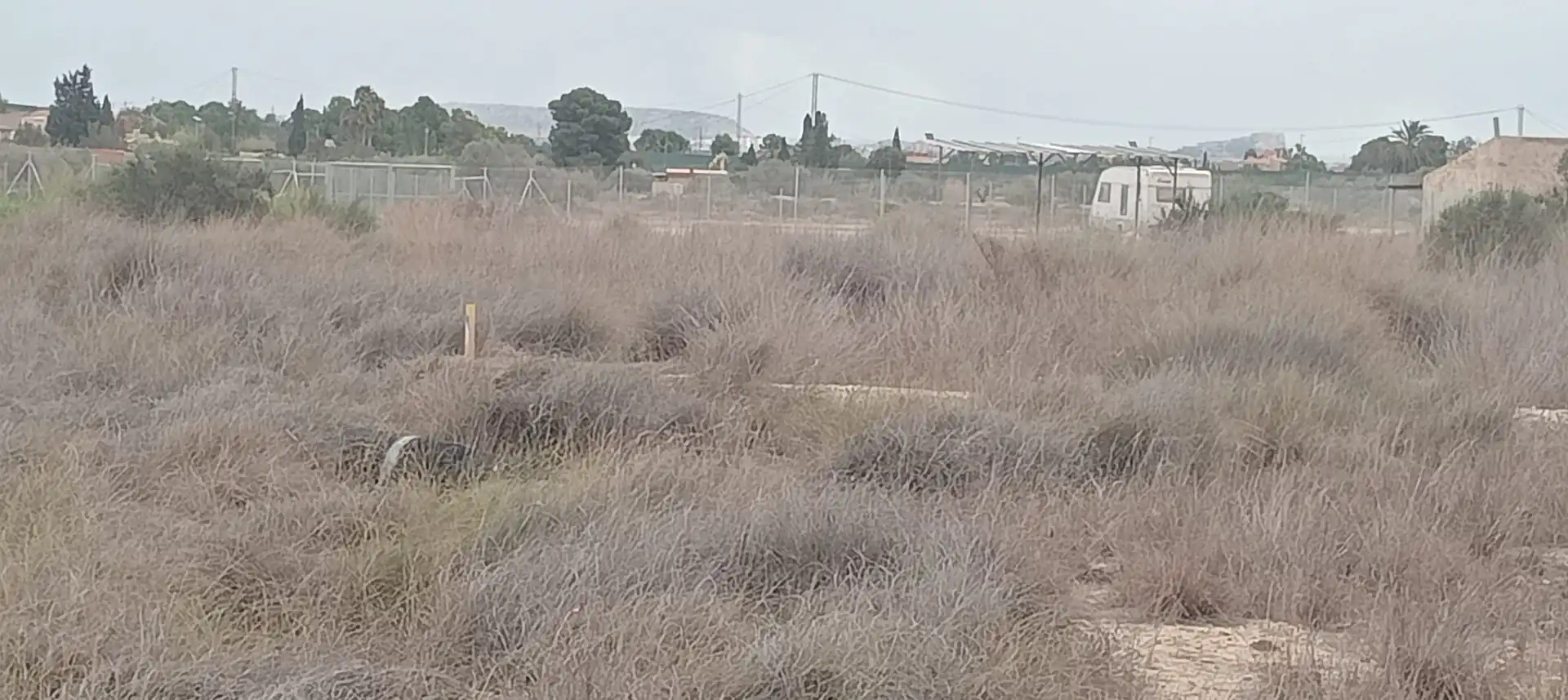 Terreny rústic en venda a Partidas de Alicante, imagen 3