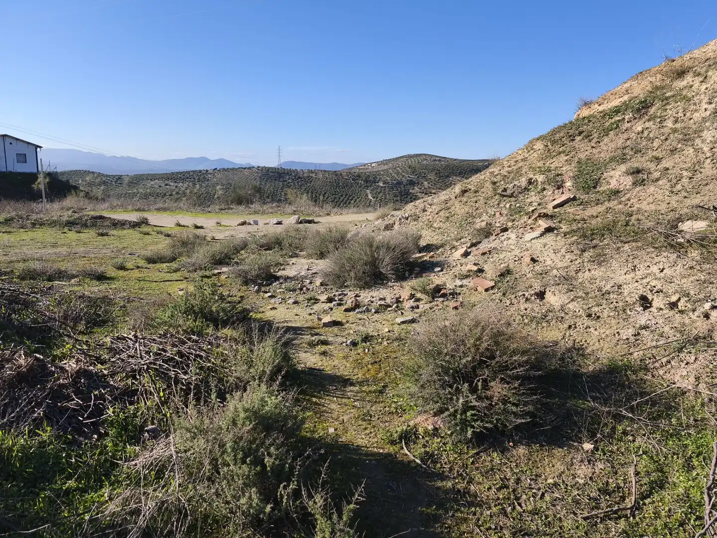 Lands and plots for sale in Alfacar, imagen 19