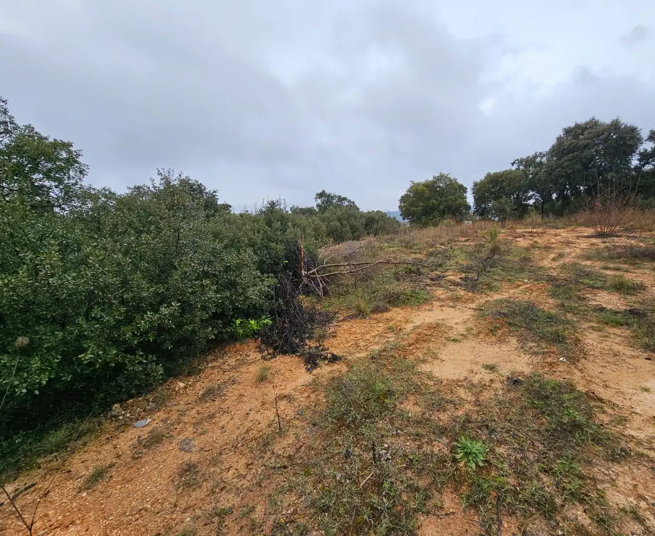 Terrenos y solares en venta en Hontoba, imagen 10