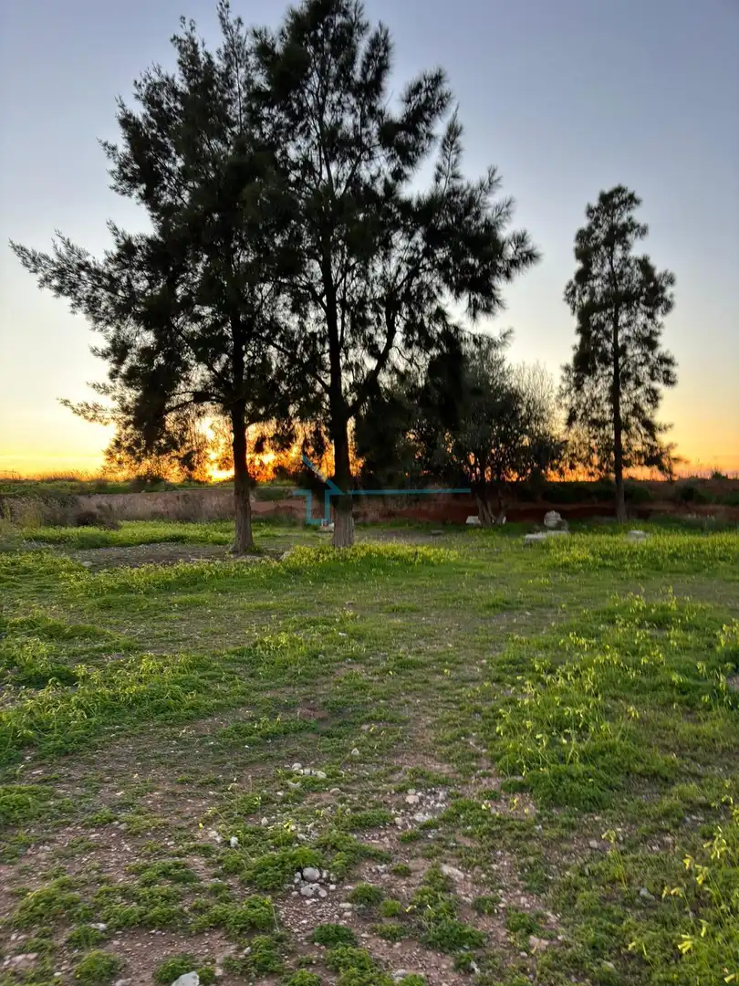 Terreni e lotti in vendita a Los Pinares - La Masia, imagen 5