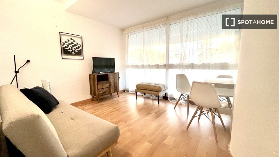 Sala d'estar de Pis de lloguer en  Barcelona Capital amb Aire condicionat, Calefacció i Moblat