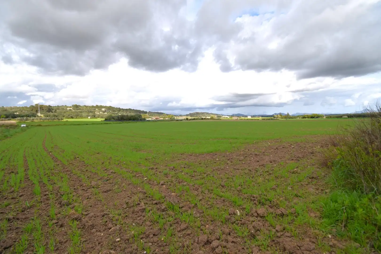 Residential land for sale in Muro, imagen 13