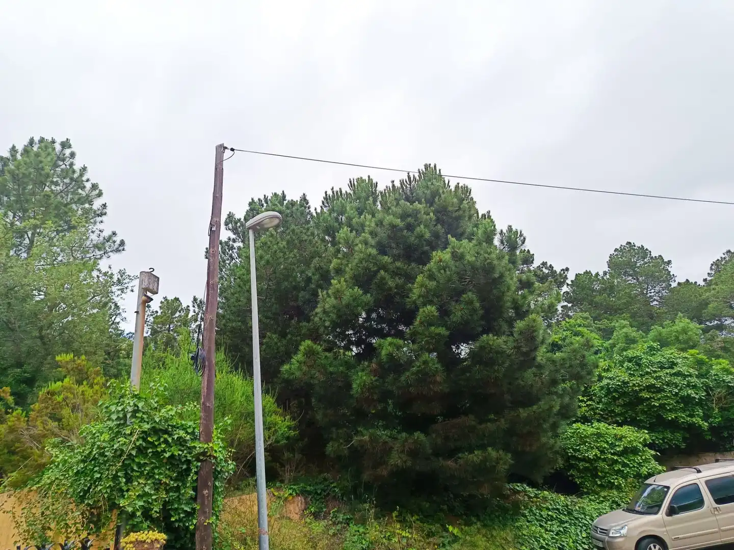Lands and plots for sale in Llagostera, imagen 10
