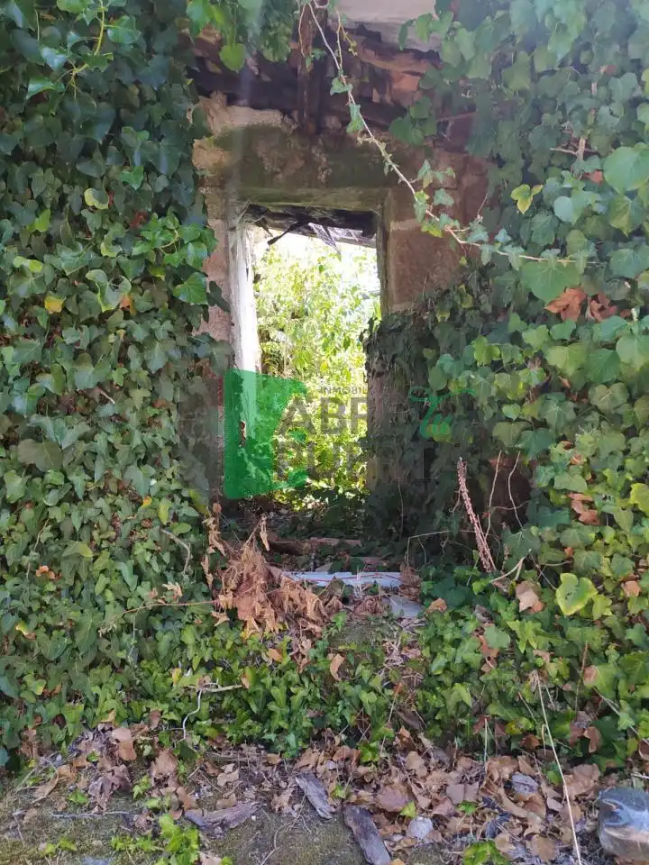 Haus mit Garten zum Verkauf in Coles, imagen 7
