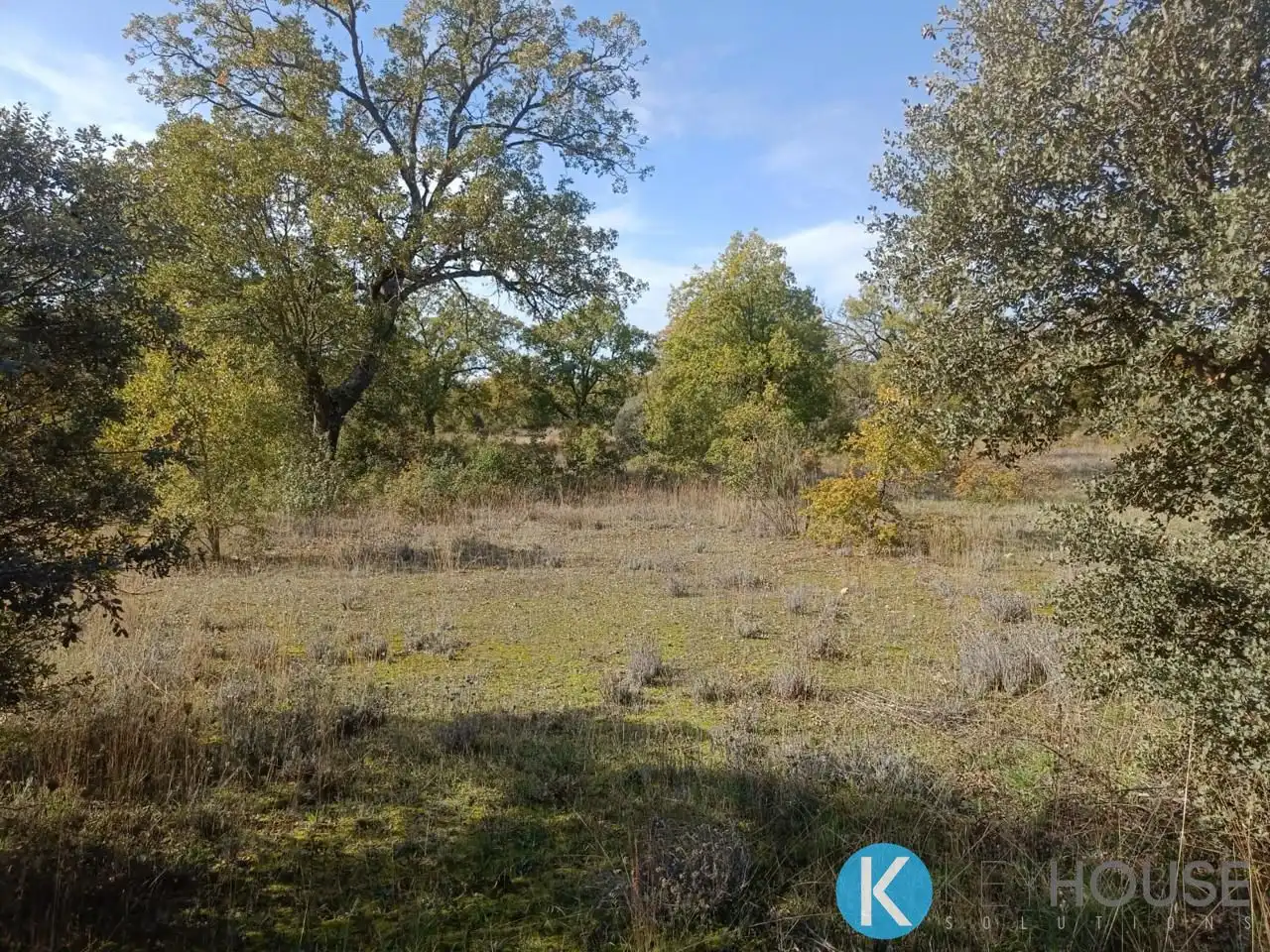 Land for sale in Pastrana