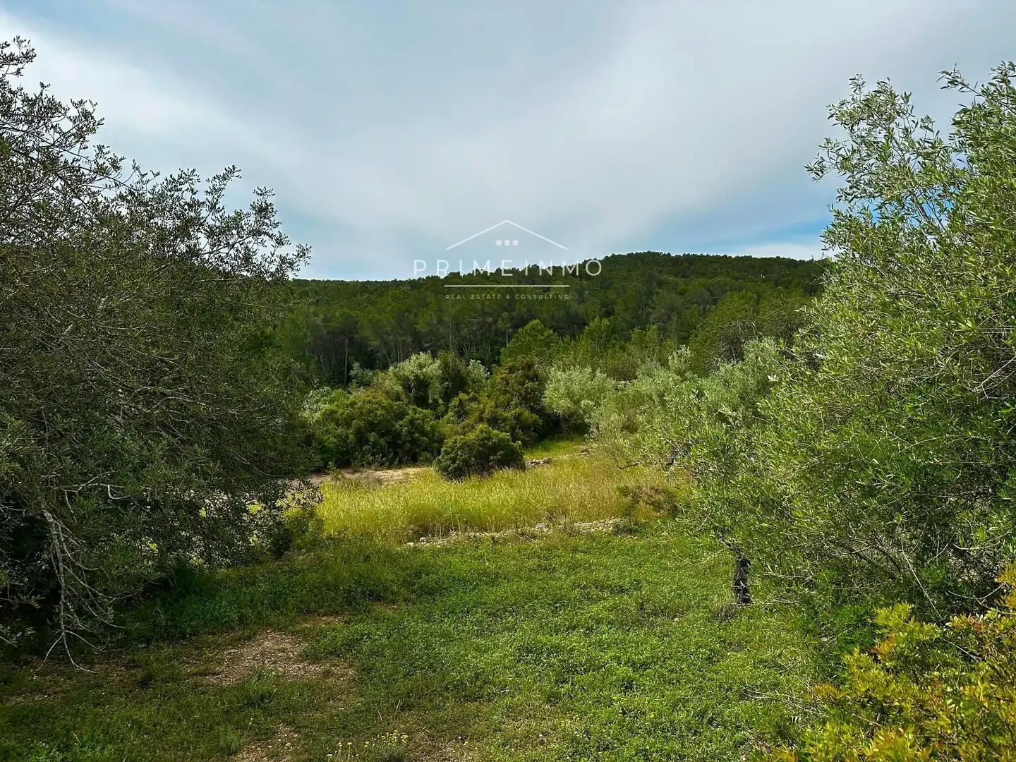 Terreno rústico en venta en Tivissa, imagen 44