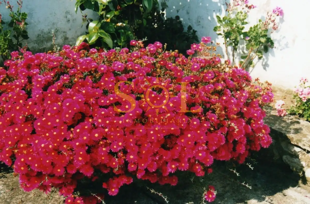 Jardí de Casa o xalet en venda en Pravia amb Calefacció i Jardí privat