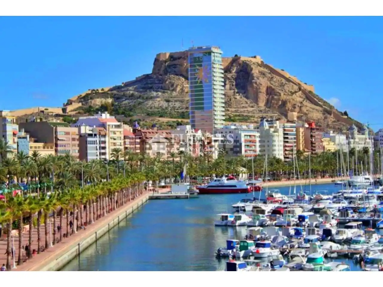 Vista exterior de Apartament en venda en Alicante / Alacant amb Aire condicionat i Moblat