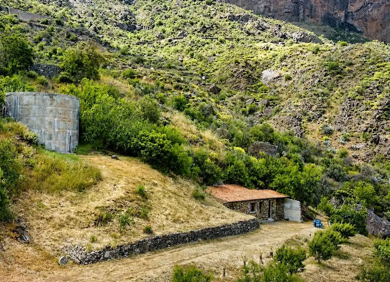 Vista exterior de Finca rústica en venta en Tejeda con Terraza