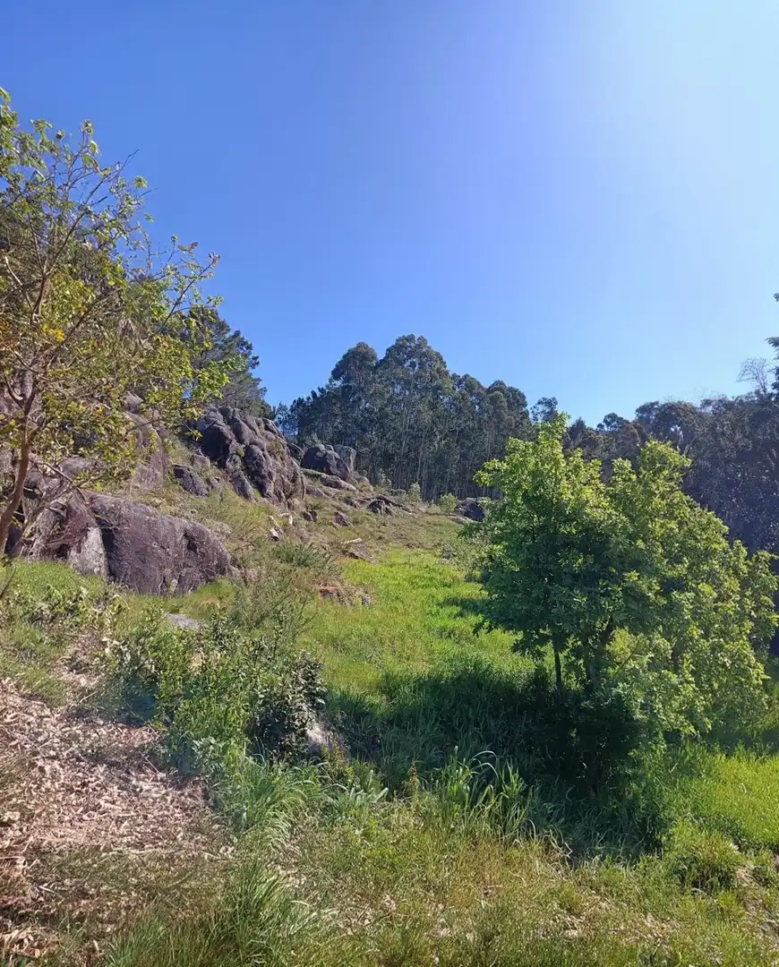 Casa o chalet en venta en Carnota con Balcón