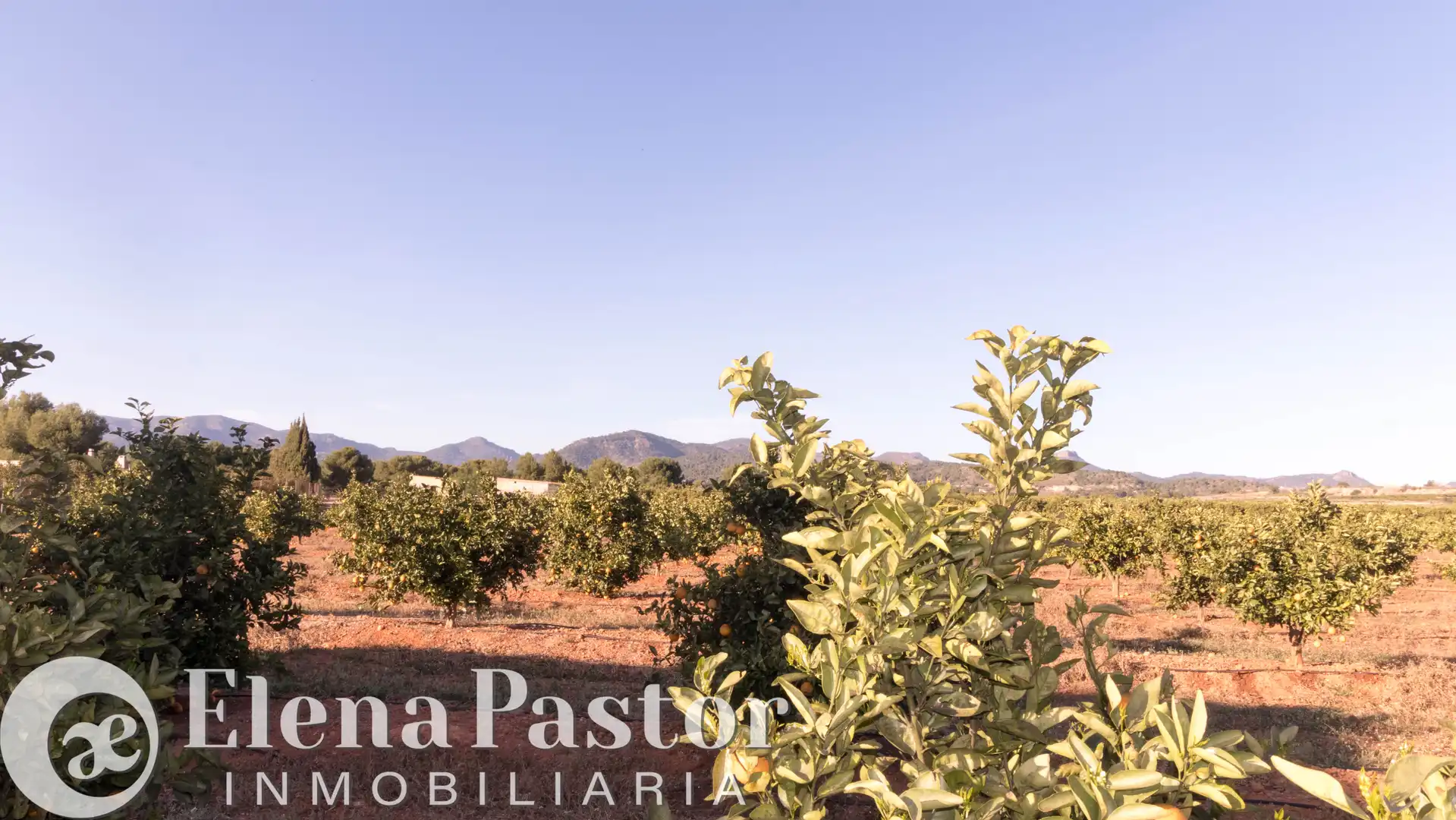 Terreno en venta en Bétera