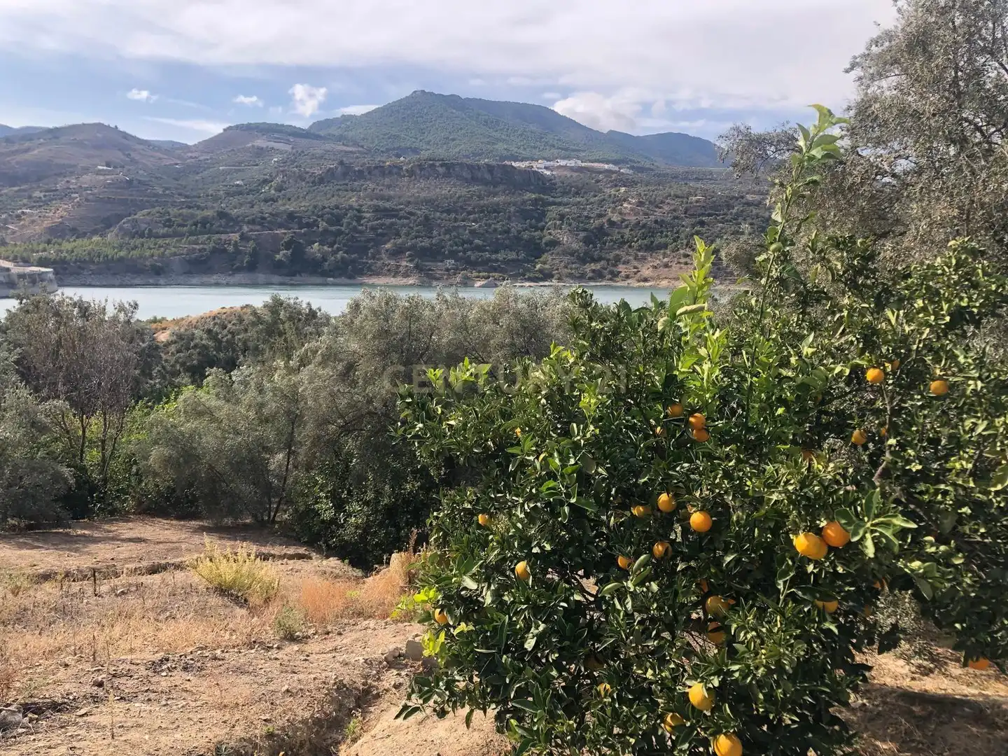Terreno en venta en Lecrín