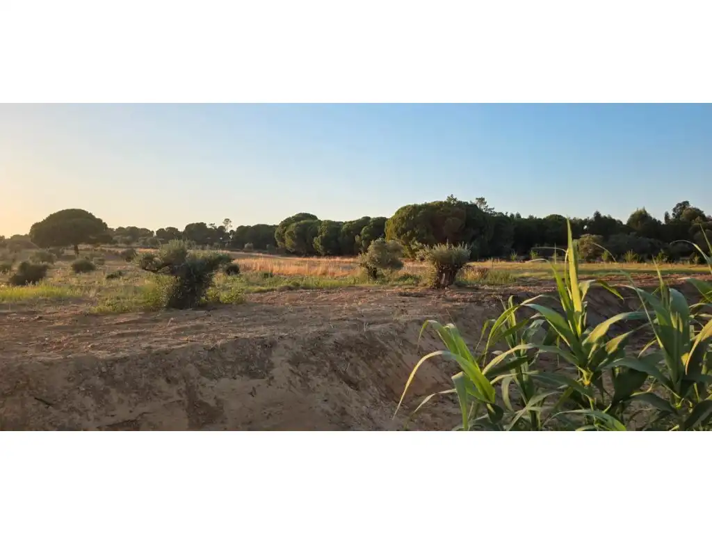 Terreny residencial en venda a Villablanca, imagen 7