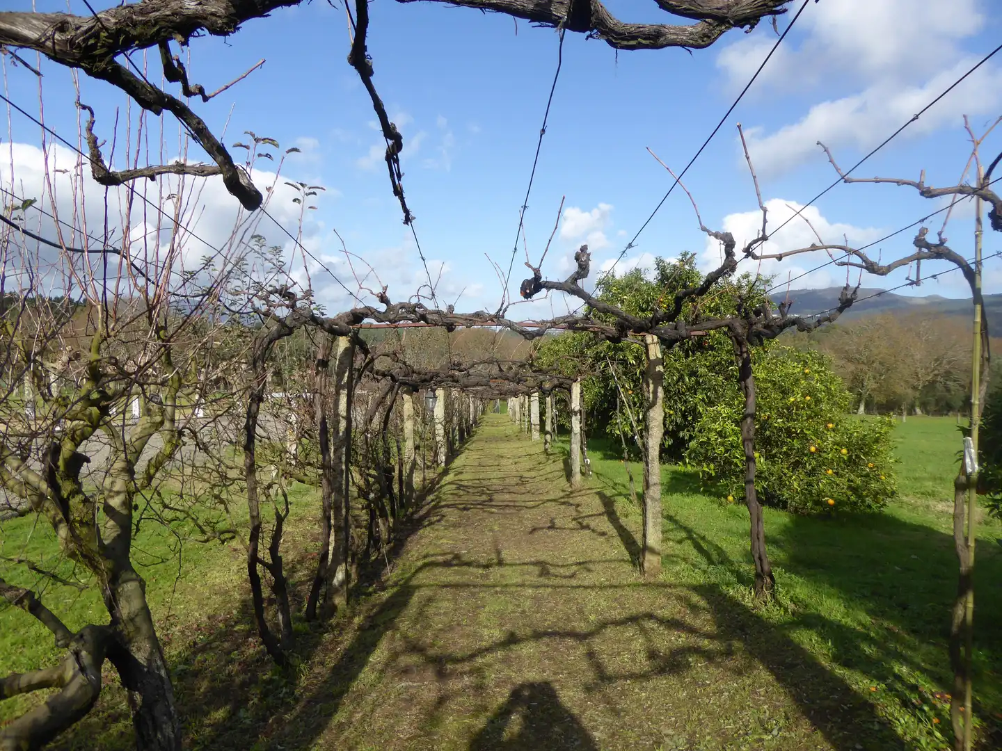 Garten von Country house zum Verkauf in Tui mit Klimaanlage, Heizung und Privatgarten