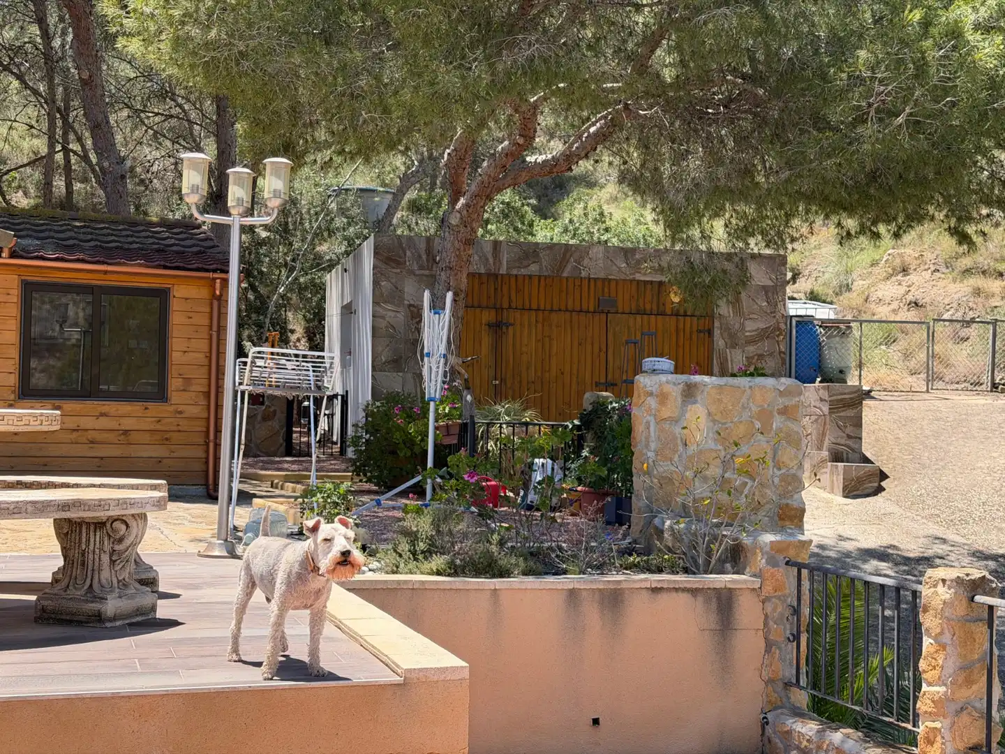 Maison rustique à vendre à Montepinar - La Aparecida - Raiguero, imagen 4