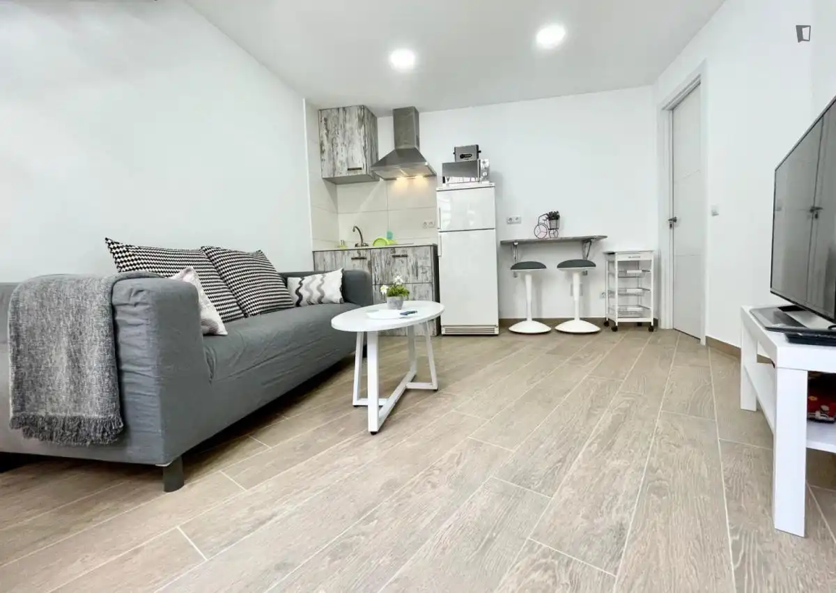 Sala d'estar de Apartament de lloguer en Barcelona amb Calefacció, Moblat i Forn