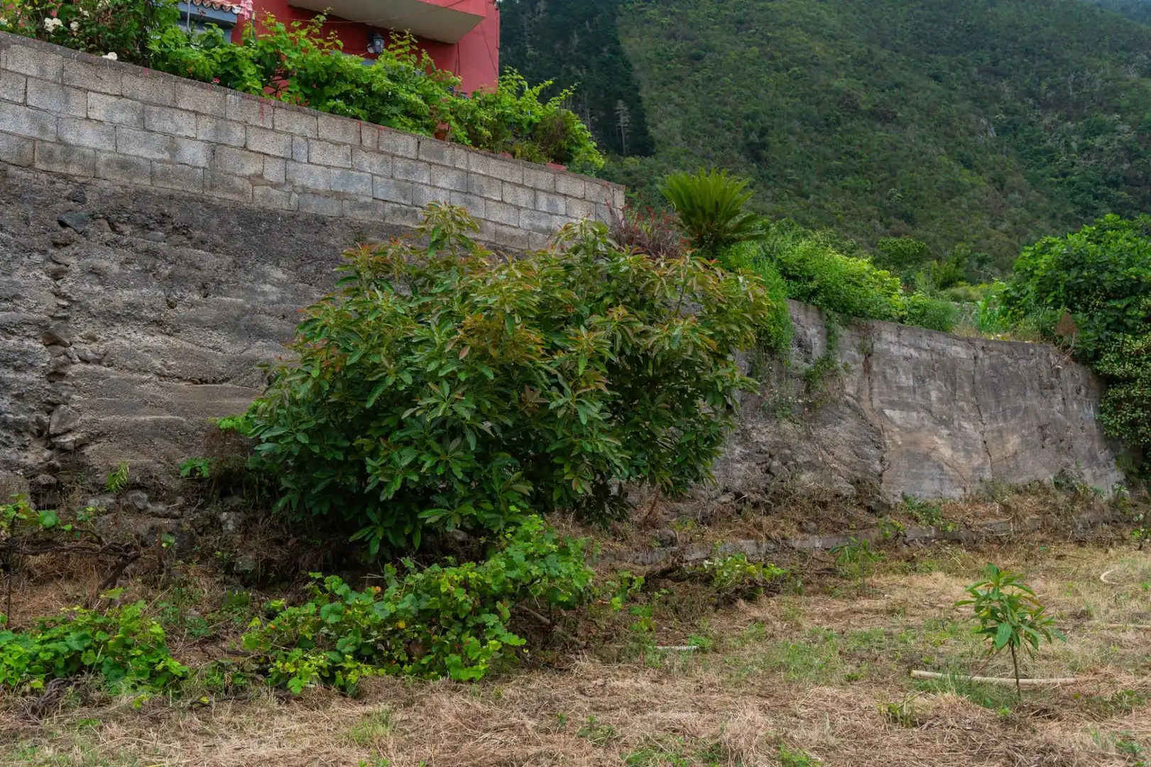 Terreno rustico in vendita a Las Cuevas - Los Gómez, imagen 17