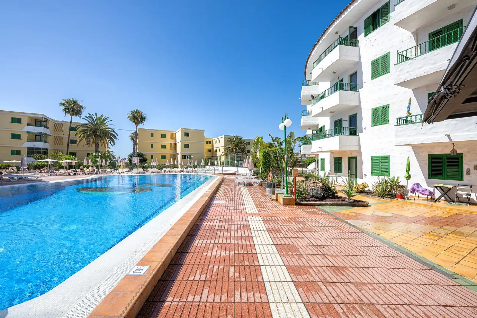 Piscina de Apartamento en venta en Playa del Inglés