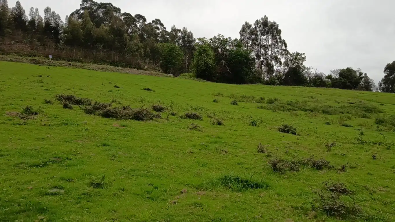 Grundstücke und Bauplätze zum Verkauf in Lugar Laguna, imagen 8
