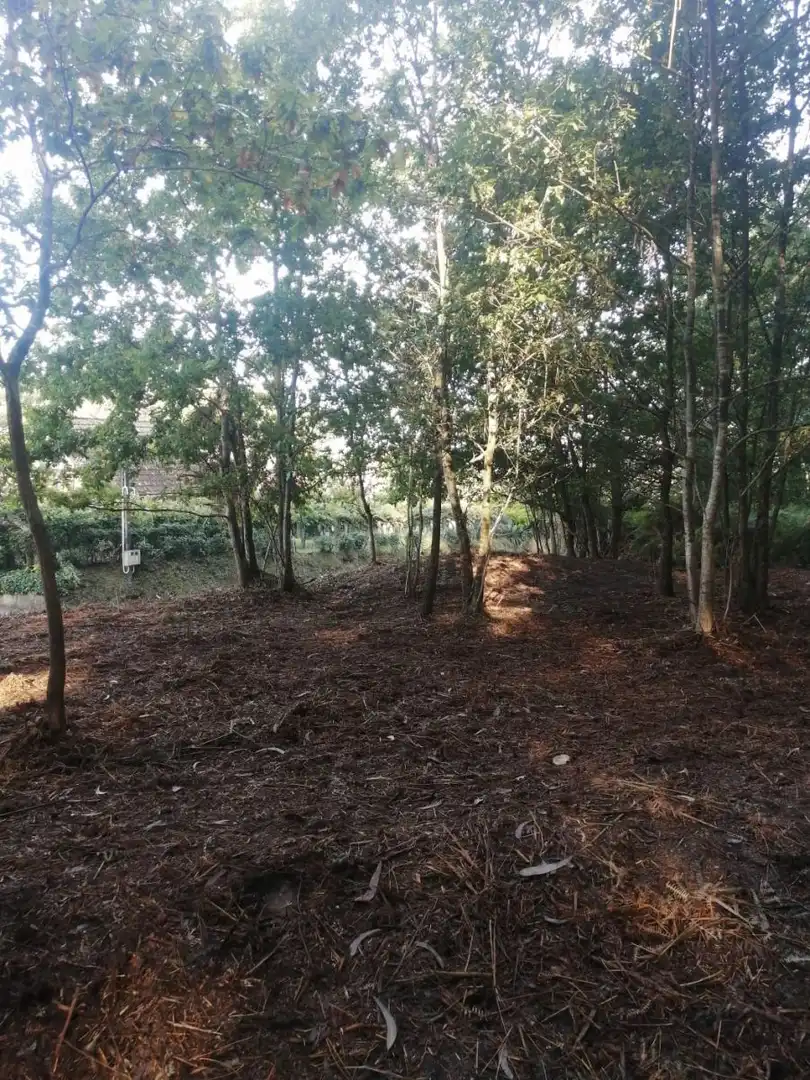 Finca rústica en venta en Ponteareas