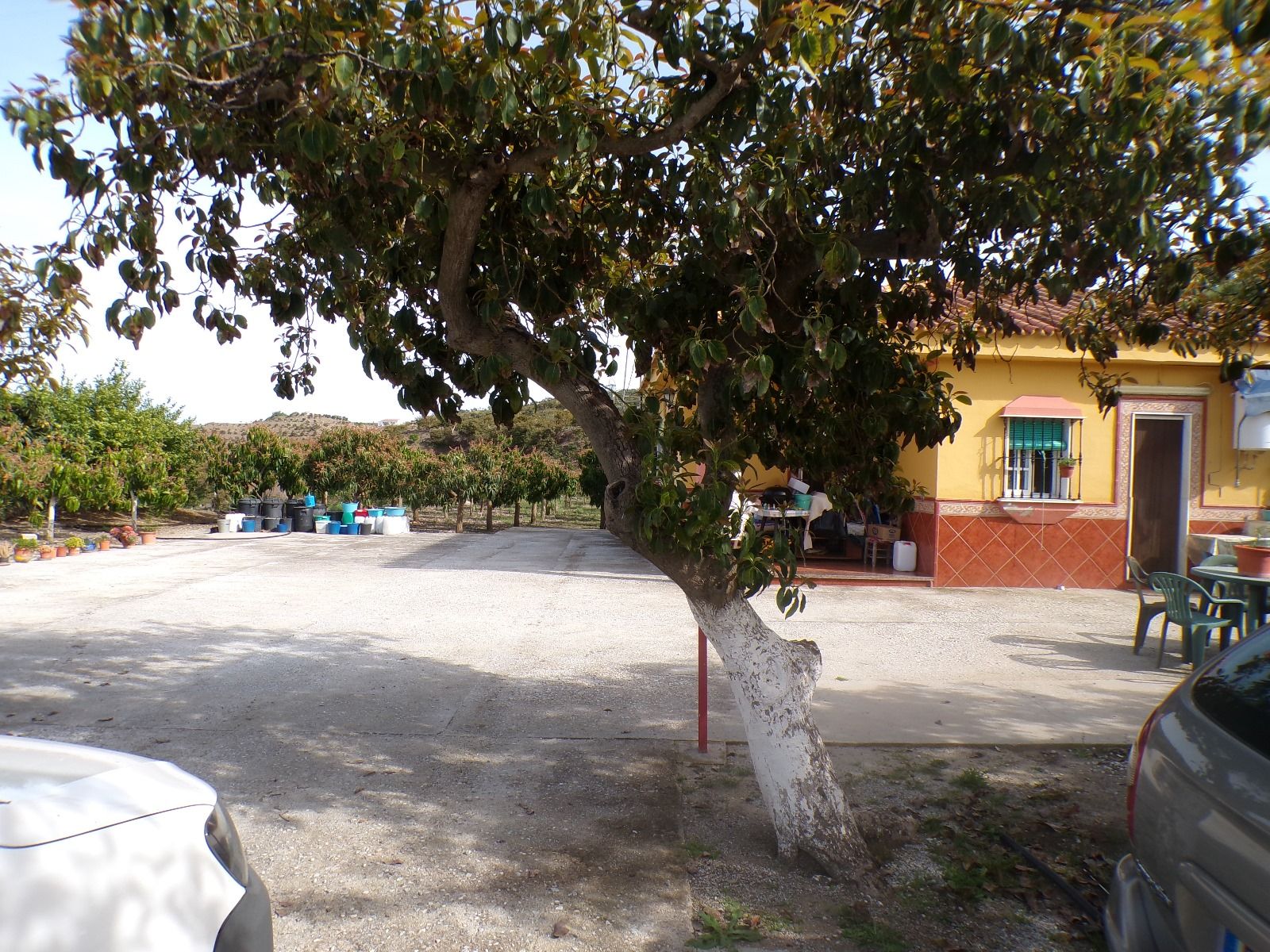 Vista exterior de Casa o chalet en venta en Almáchar con Aire acondicionado, Jardín privado y Amueblado