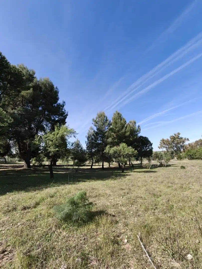 Chalet en venta en CERRO PALOS poligono 45 parcela 63, imagen 34