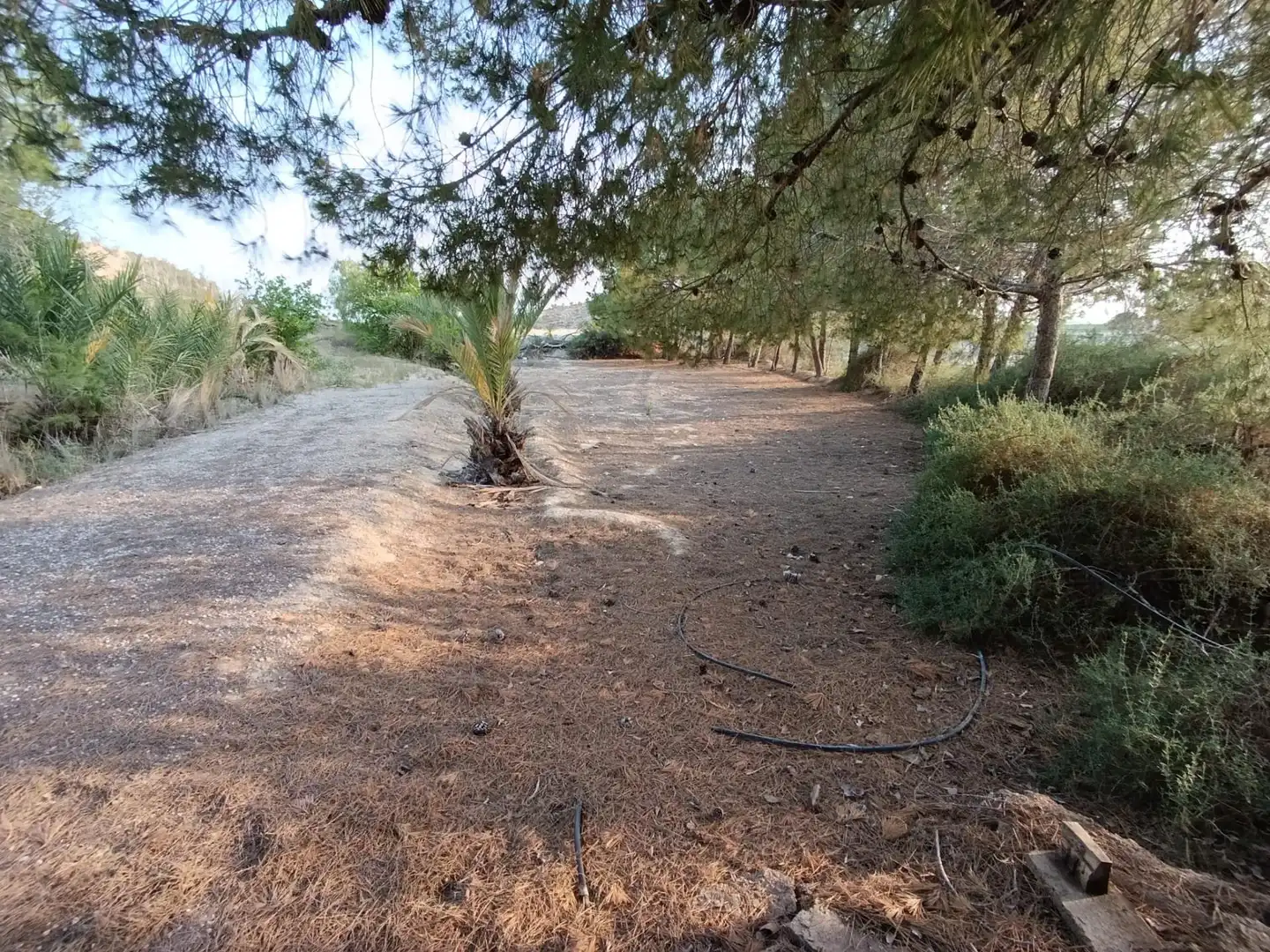 Houses for sale in Elche / Elx  with Private garden and Storage room
