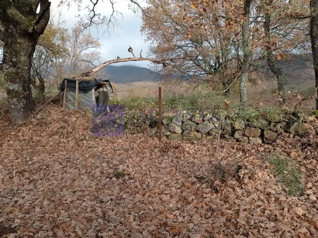 Haus zum Verkauf in Jarandilla de la Vera, imagen 13