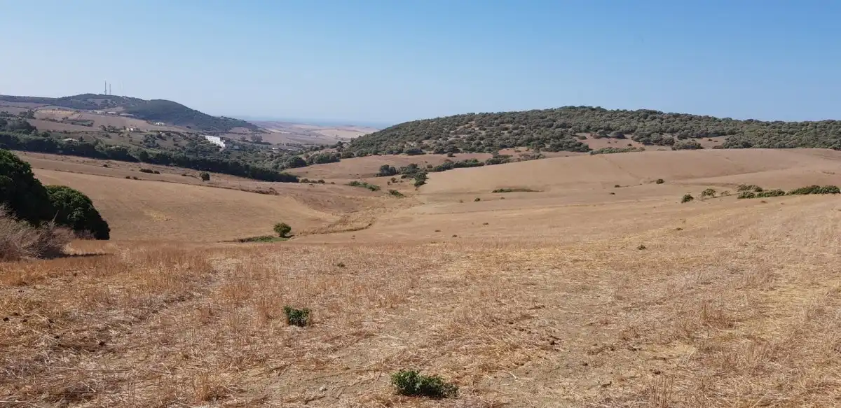 Terreny rústic en venda a Vejer, imagen 3