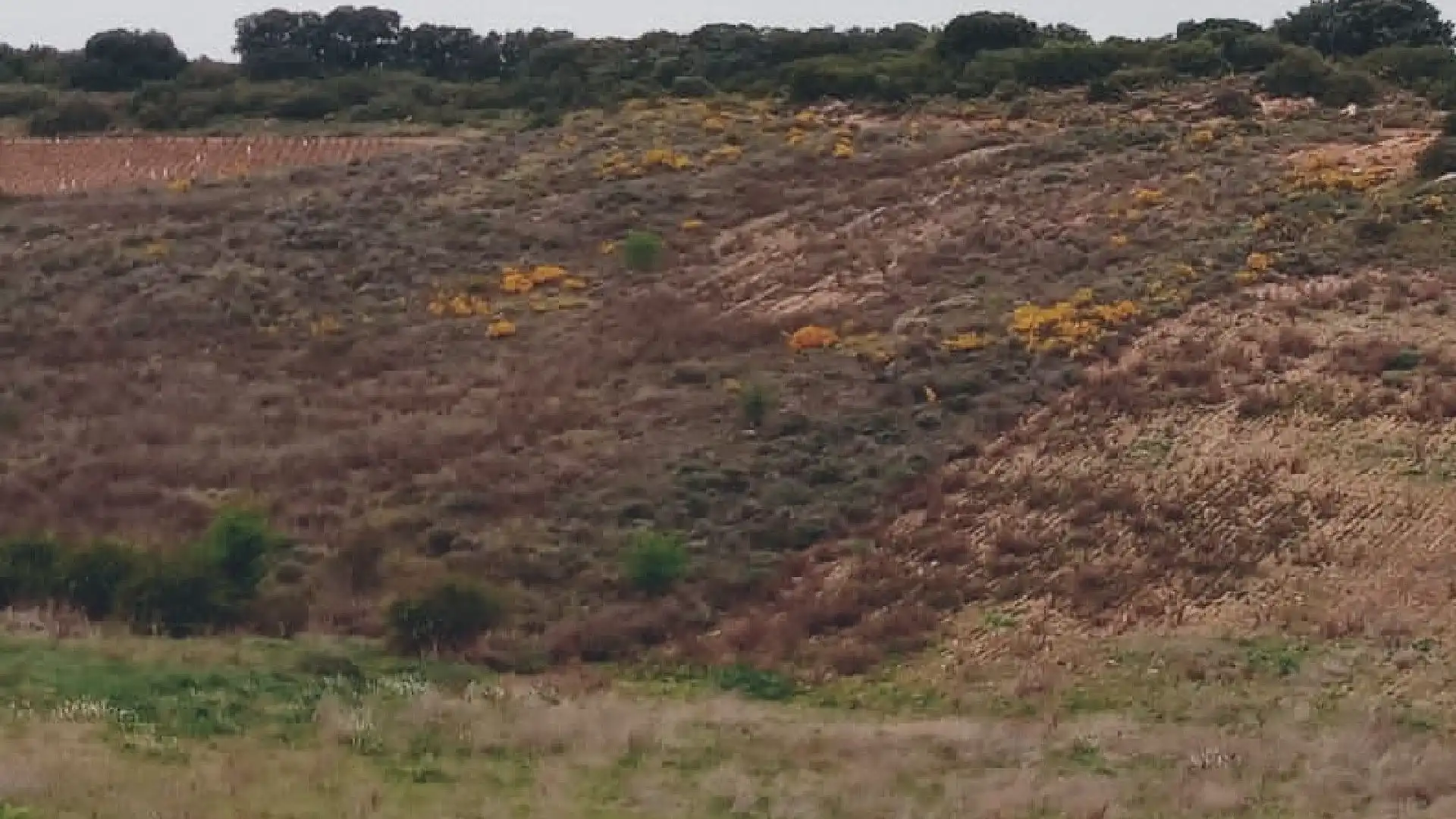 Terreno en venta en Navarrete