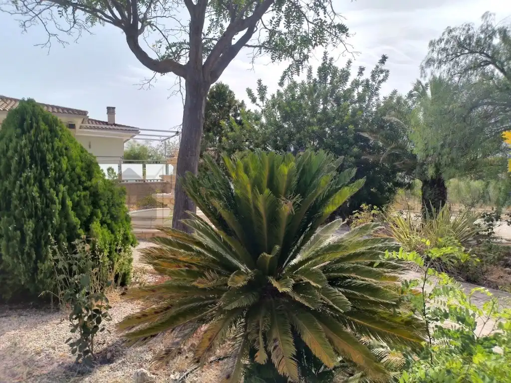Casa o xalet de lloguer a Sax