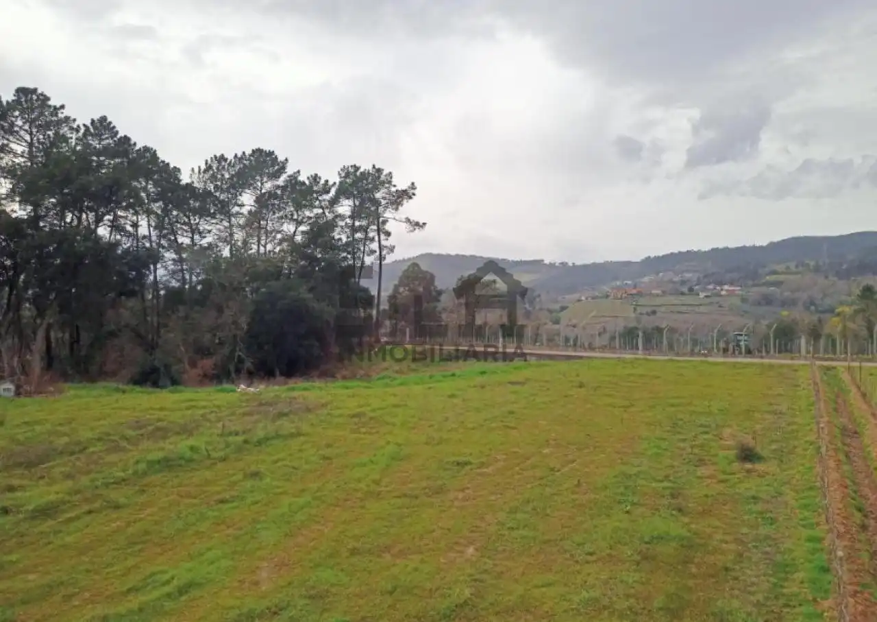 Casa o chalet en venta en PRADO DE MIÑO, Castrelo de Miño