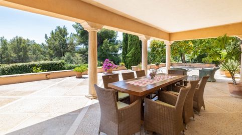 Villa de campo con licencia ETV y vistas a la montaña en venta en Pollensa, Mallorca, imatge 5