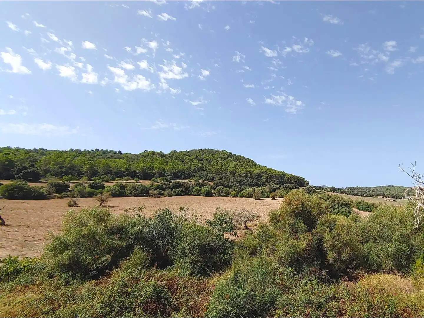 Country house with pool for sale in Algaida, imagen 10