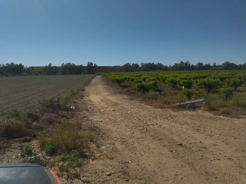 Terreno en venta en Campo Lugar