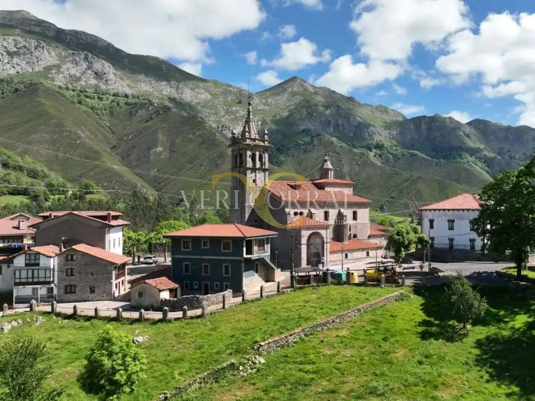 Vista exterior de Casa adosada en venda en Peñamellera Alta amb Calefacció