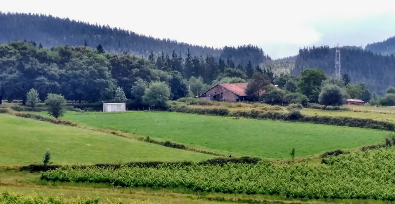 Terreno rustico in vendita a Abadiño
