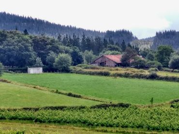 Rural land for sale in Abadiño
