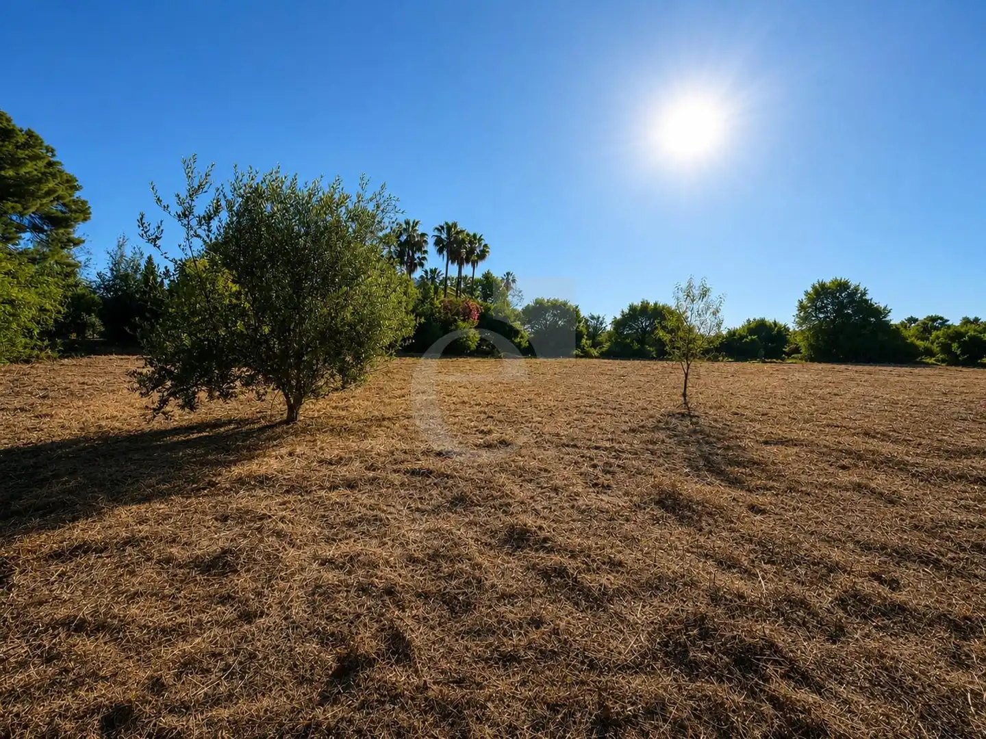 Residential land for sale in Santa Bárbara