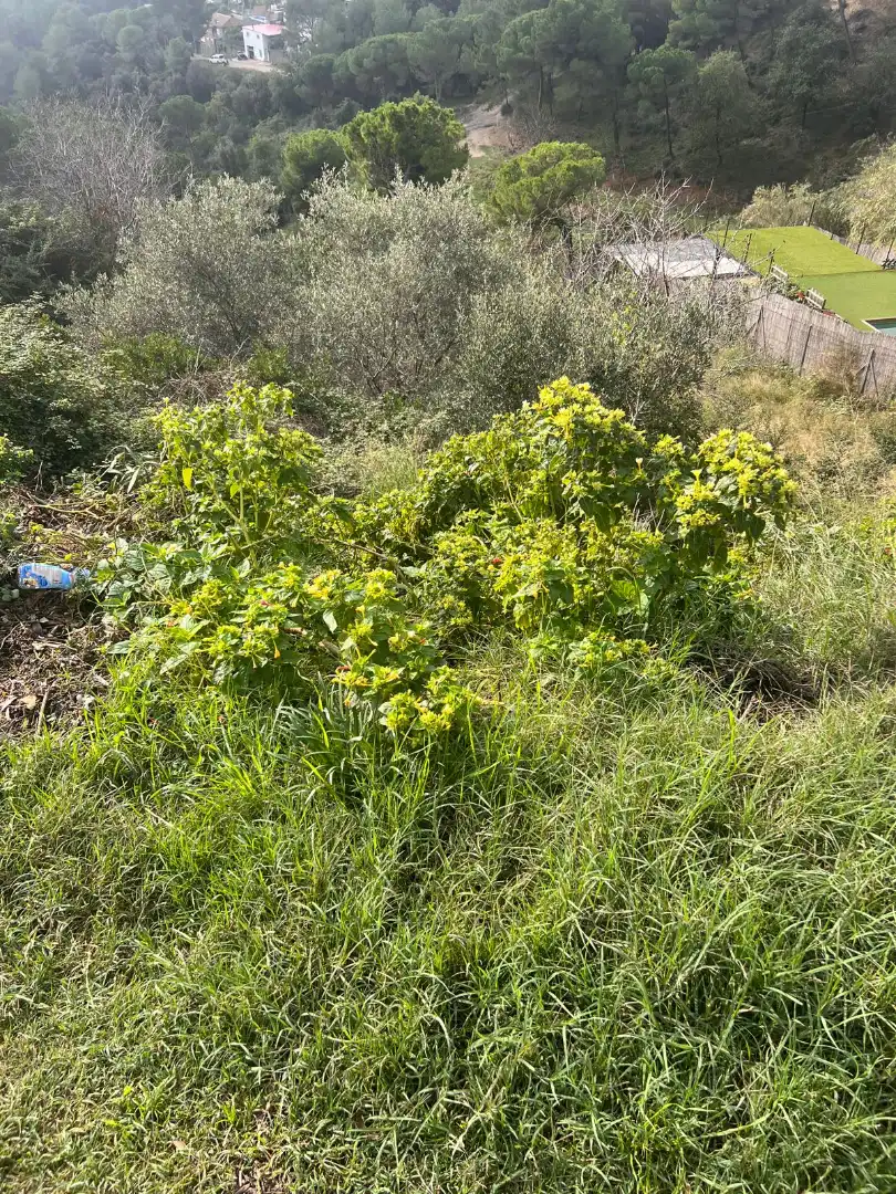 Wohnbaugrundstück zum Verkauf in Castellnou - Can Mir - Can Solà, imagen 2
