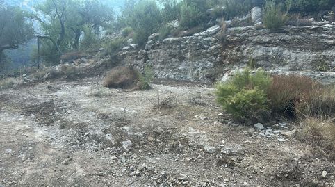 Finca Rúst. en venta en Senia La., imatge 5