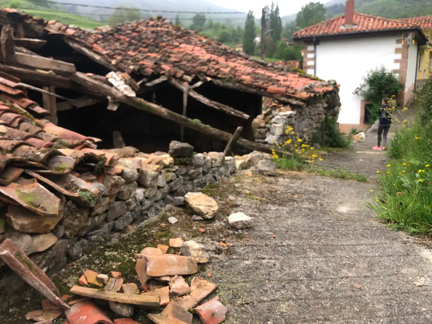 Exterior view of Buildings for sale in Lamasón
