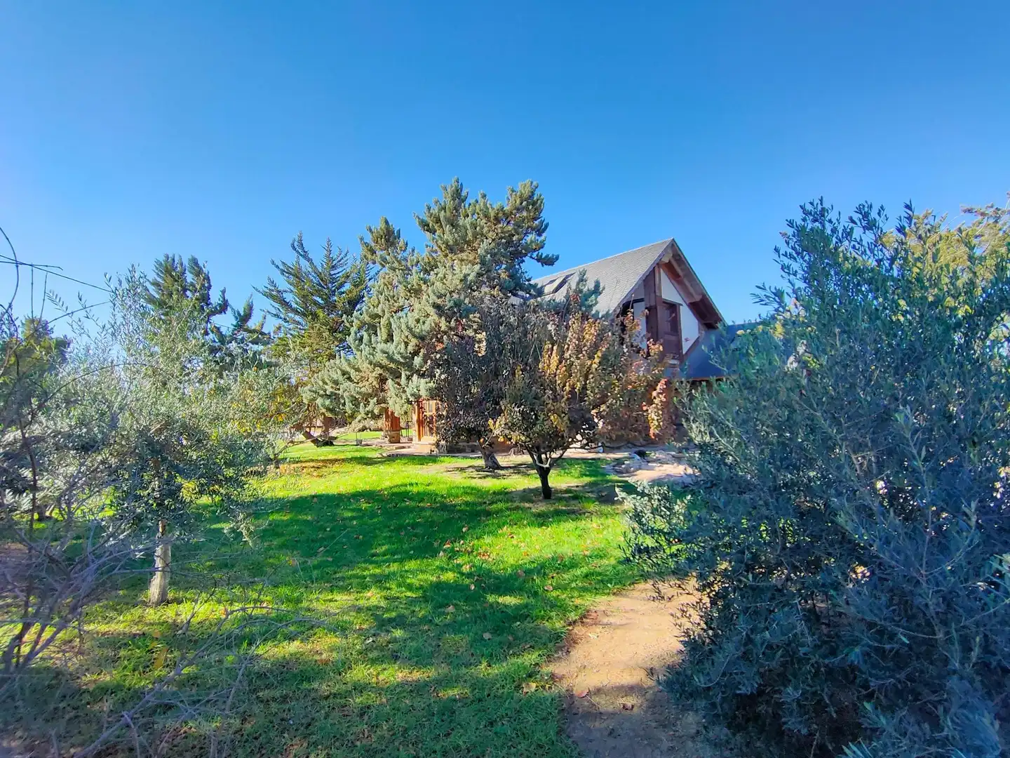 Jardín de Casa o chalet en venta en Lorca con Jardín privado, Terraza y Trastero