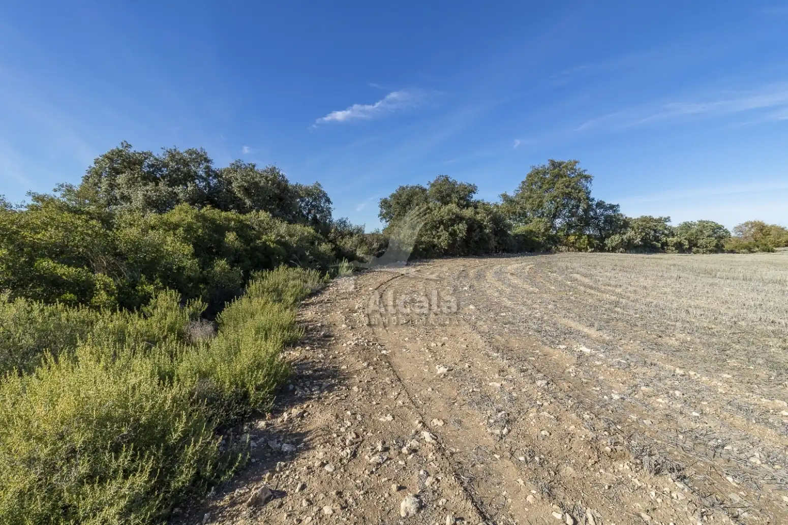 Terreno en venta en Yebes